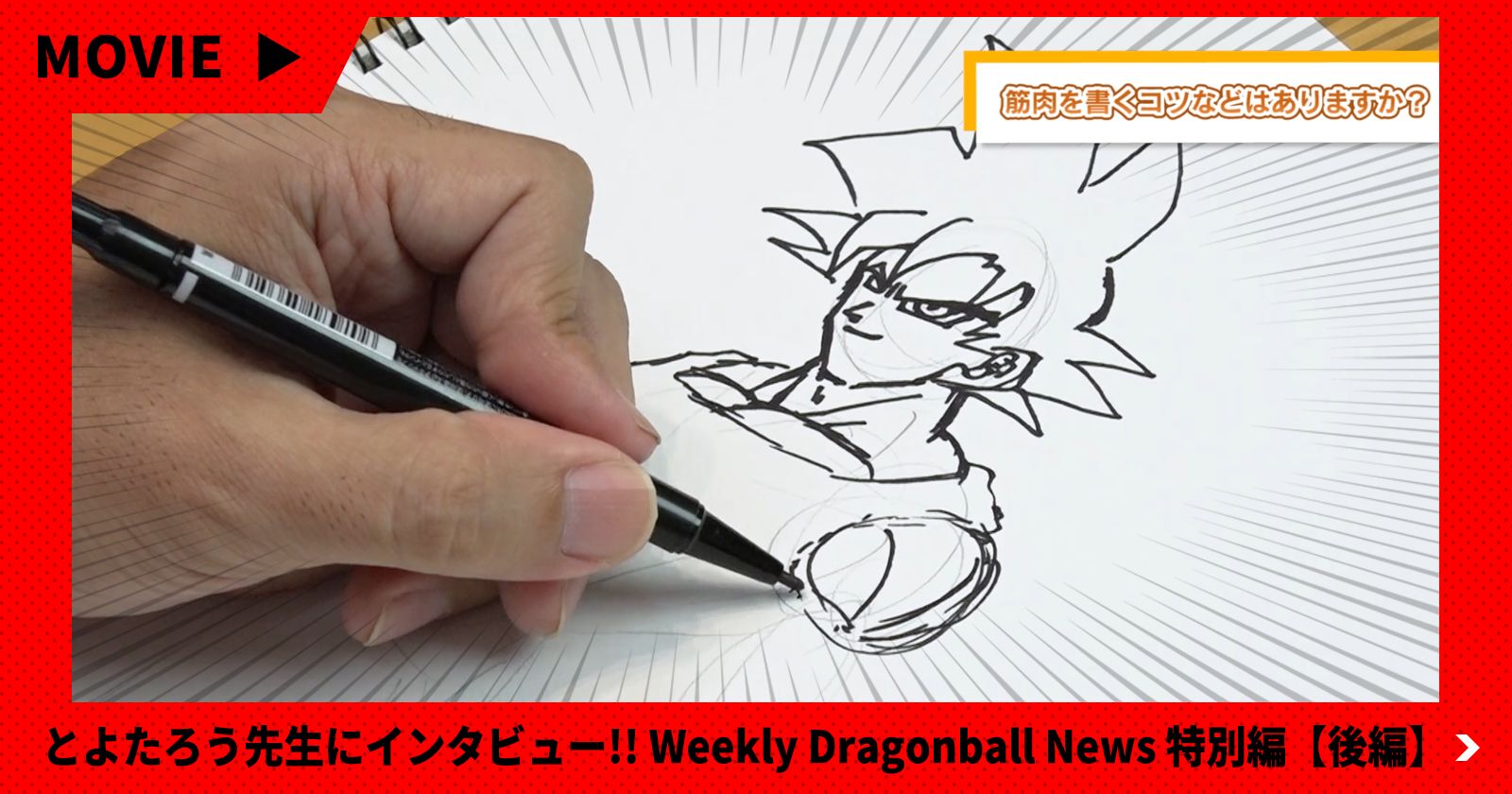 【8月8日(月)公開】Weekly Dragonball News特別編【後編】