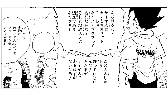 〜ドラゴンボール ファッションチェック〜 ベジータ