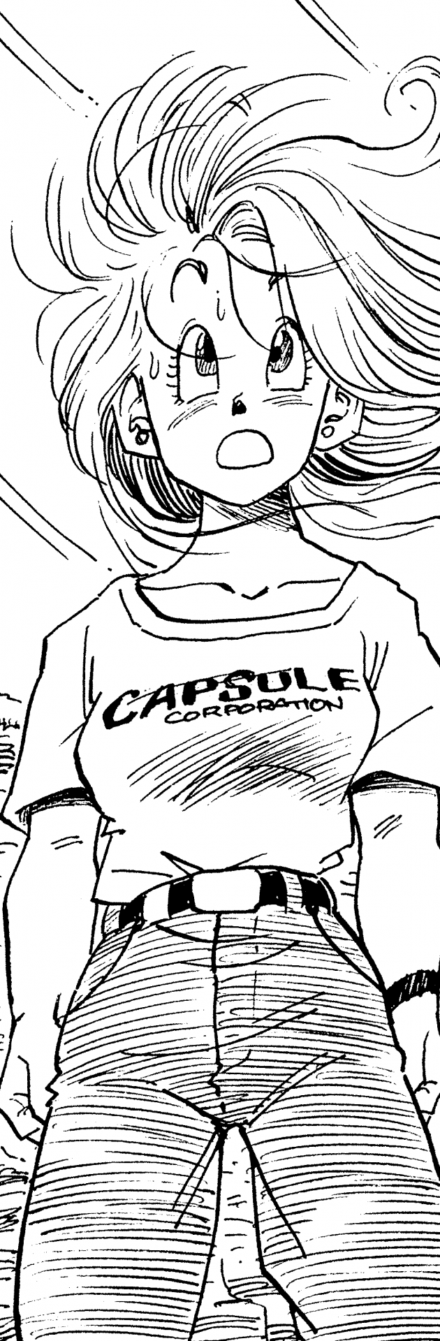 ドラゴンボール ファッションチェック ブルマ 公式 ドラゴンボールオフィシャルサイト ドラゴンボール ファッションチェック ブルマ 公式 ドラゴンボールオフィシャルサイト