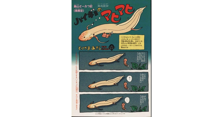 感じるDBイズム~鳥山明作品紹介~第4回は『ハイギョのマヒマヒ』!