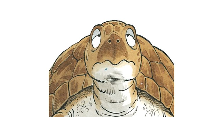 ウィークリー☆キャラクター紹介!第130回目は「ウミガメ」!